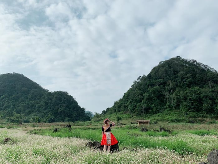 Săn mùa hoa tam giác mạch ở Thạch Sơn Thần Hà Giang kỳ bí 6