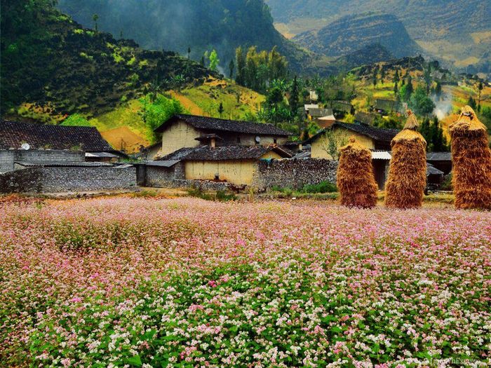 Ấn tượng làng văn hóa du lịch Lũng Cẩm Hà Giang - gấm hoa miền cực Bắc 5