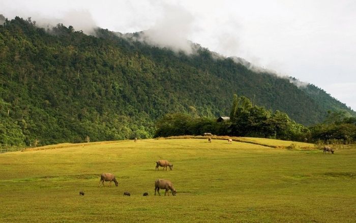 Khám phá Hồ Noong - Hà Giang như bức tranh tuyệt mỹ 8