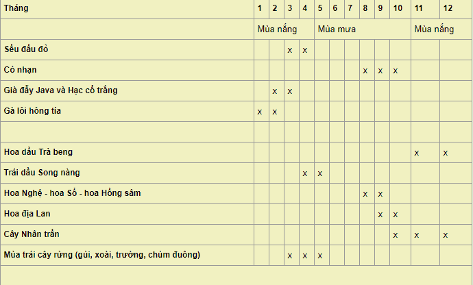 Với hệ động thực vật phong phú và nhiều loài quý hiếm, để có thể gặp được những động thực vật bạn muốn thấy, hãy để ý đến thời gian (Ảnh: sưu tầm)