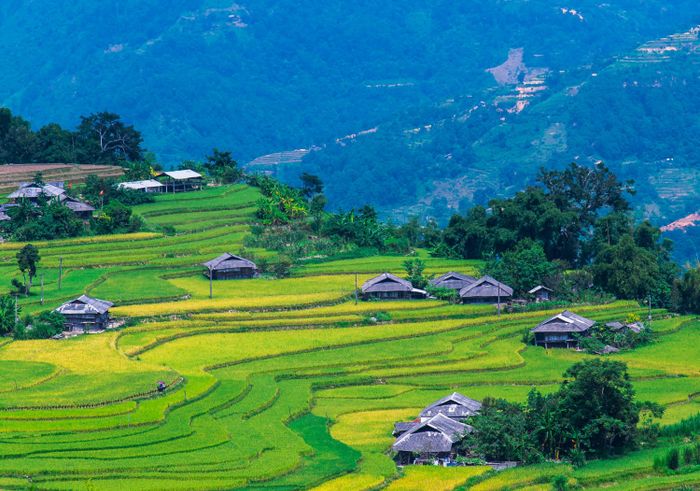 Kế hoạch trekking và trải nghiệm văn hóa bản địa ở Hoàng Su Phì 10