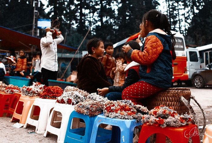 Chuyến đi Hà Giang tự túc 3 ngày 2 đêm - Nhẹ nhàng nhưng đậm chất kỷ niệm 7