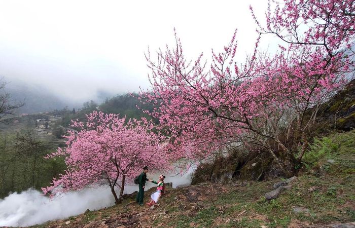 Lịch trình Hà Giang tự túc 1 tuần, khám phá toàn bộ cao nguyên đá 7