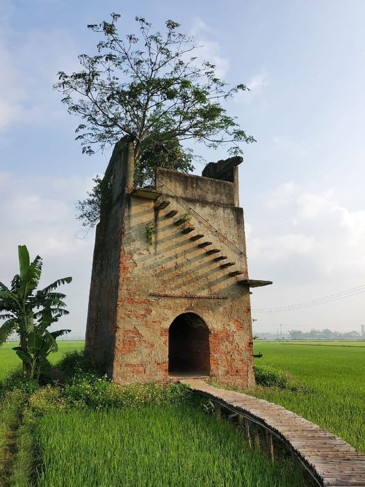 Cafe ruộng Hội An