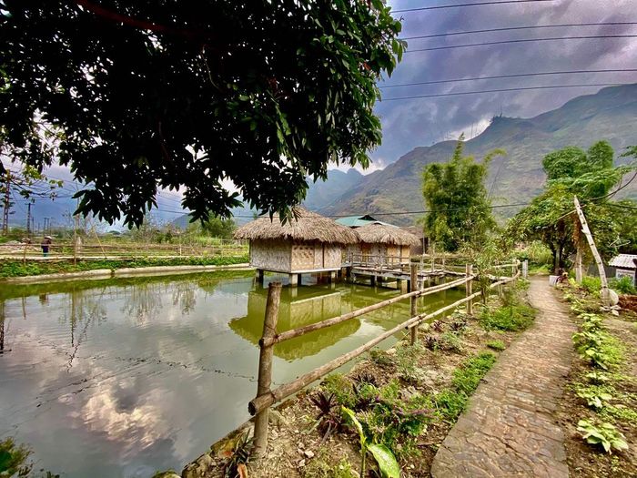 Lịch trình Hà Giang tự túc 3N2Đ - Nhẹ nhàng nhưng đong đầy cảm xúc 10