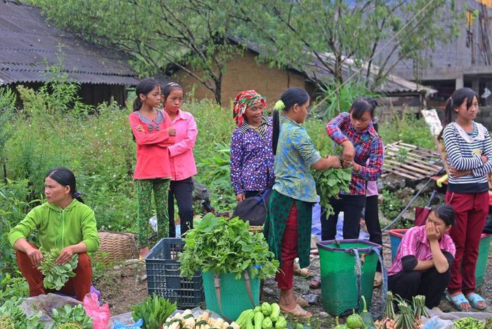 Kế hoạch du lịch Hà Giang 3 ngày 2 đêm tự túc đầy đủ từ Hà Nội