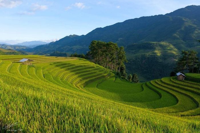 Kinh nghiệm du lịch Hà Giang tự túc vào tháng 5 - Mùa gây nhớ 11