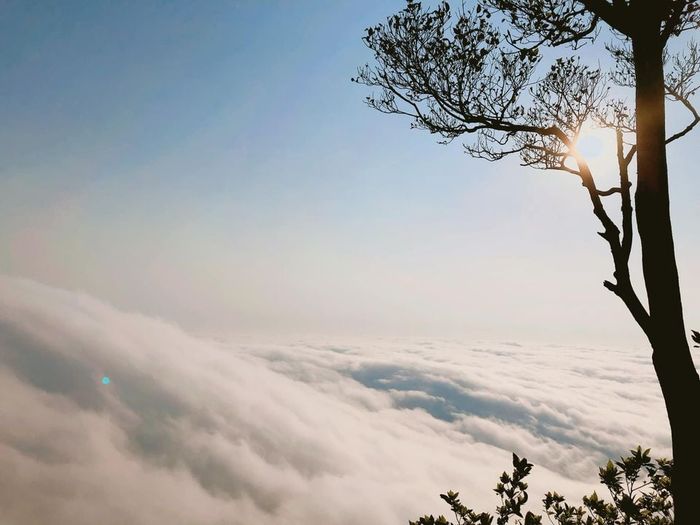 Ba Vì - nơi đáng để trekking và săn mây