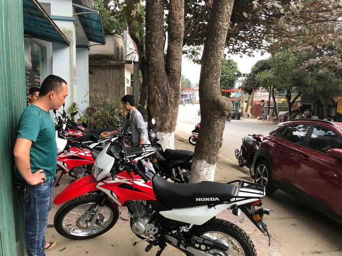 Muốn thuê xe cào cào offroad ở Hà Giang?