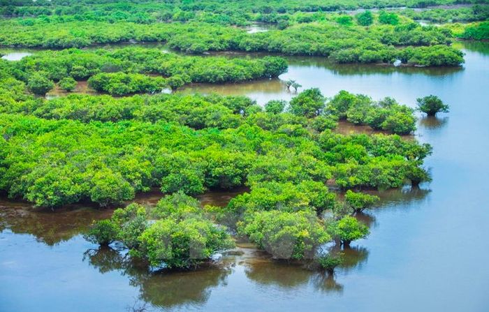 Vườn quốc gia Xuân Thủy, một trong những khu vực RAMSAR duy nhất tại Nam Định, đã chứng tỏ sự quan trọng và đặc biệt của mình.