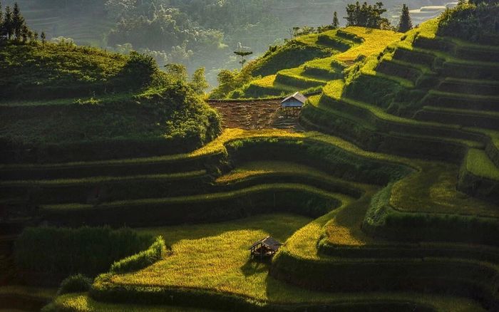 Bí quyết du lịch Hà Giang săn mùa vàng - Nhớ mãi mùa lúa chín ở cao nguyên đá 6