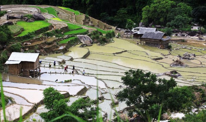 Bí quyết thưởng thức Hà Giang mùa nước đổ - Khám phá vẻ đẹp mới của Hà Giang 7