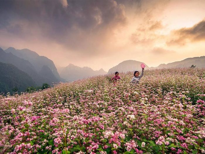 Kinh nghiệm khám phá Phó Bảng Hà Giang tự túc mà ai cũng nên biết 5