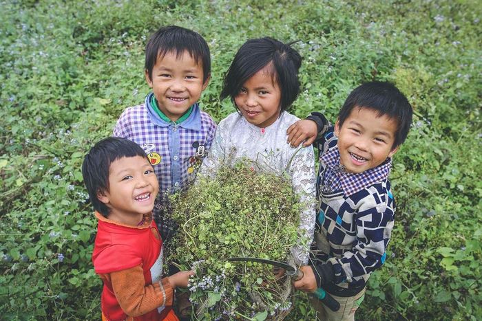 Kinh nghiệm du lịch Hà Giang tự túc vào tháng 5 - Mùa gây nhớ 10