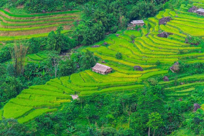 Lên lịch trình trekking và trải nghiệm văn hóa địa phương ở Hoàng Su Phì 5