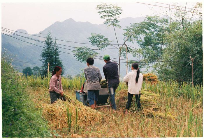 Đánh giá về một Hà Giang yên bình và lãng mạn.