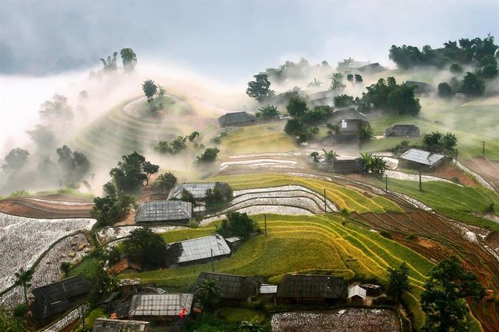 Đánh giá mùa thu ở Hoàng Su Phì với vẻ đẹp như cảnh tiên cảnh 4