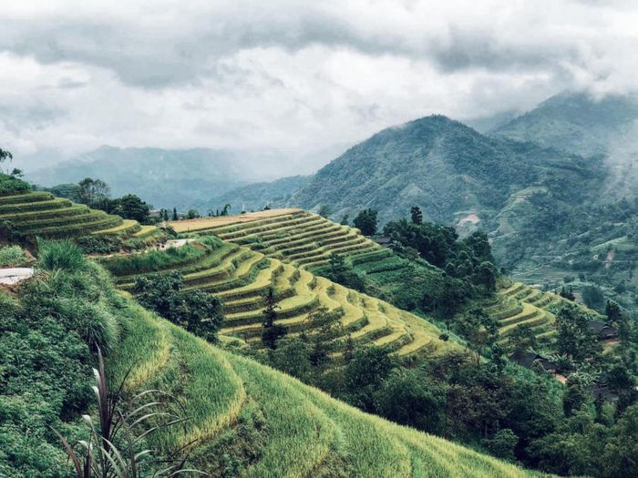 Khám phá Hà Giang để tìm kiếm sự bình yên trên những vùng cao xinh đẹp