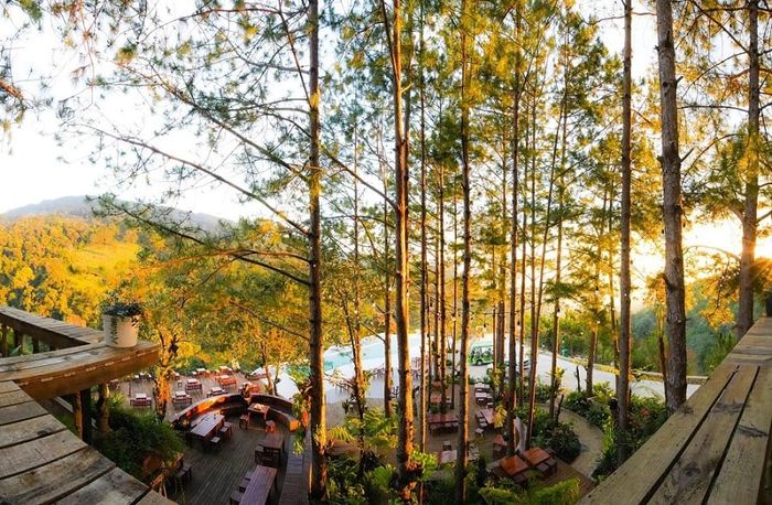 Cao Nguyên Hoa Đà Lạt