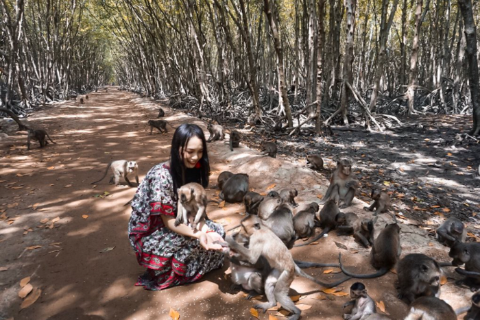 Du lịch Hạ Long vào mùa đông