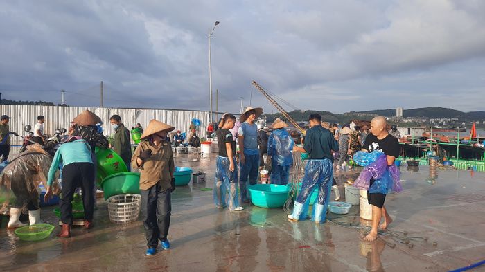 Chợ hải sản Hòn Gai là điểm đến nổi tiếng không thể bỏ qua khi bạn đến thành phố Hạ Long.