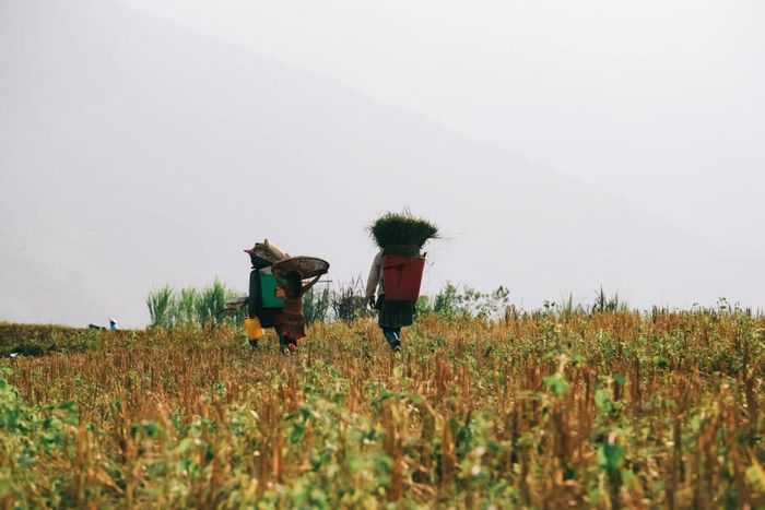 Nghỉ đêm tại Thảo nguyên Suôi Thầu trong không gian yên bình và lãng mạn