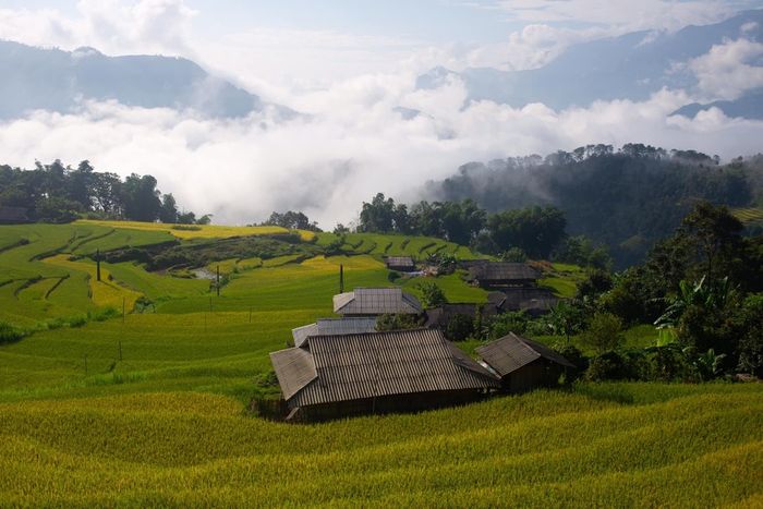 Mùa vàng ở Hoàng Su Phì mang lại cảm giác lãng mạn đặc biệt qua từng bức ảnh của bạn Thu Hương.