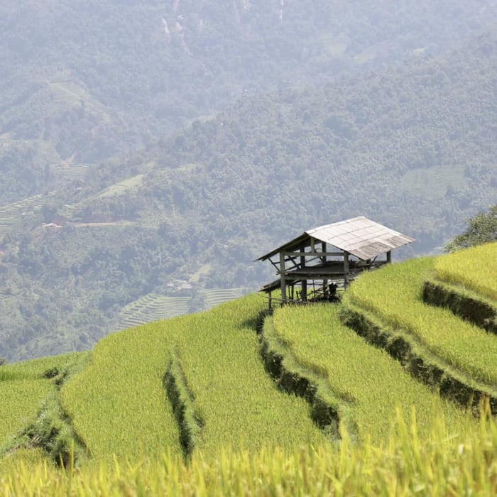 Hương vị đặc trưng của bát bún bò Nha Trang