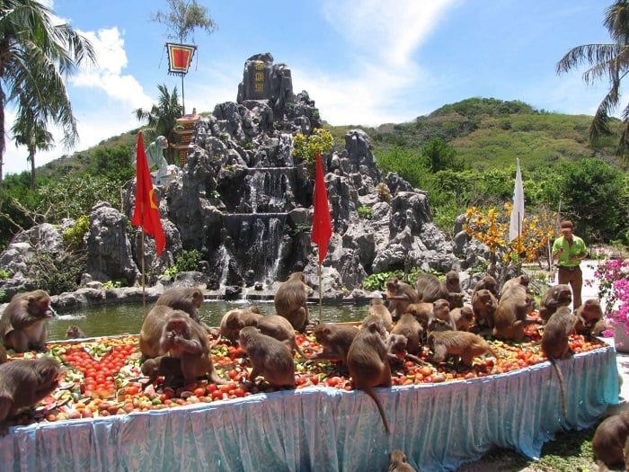 Lễ hội Hoa Quả Sơn