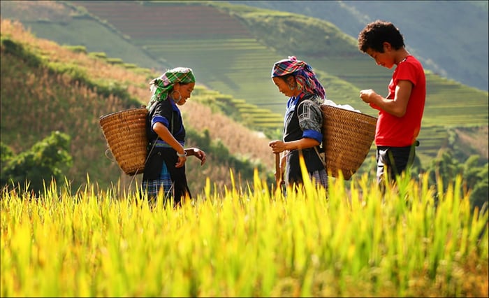 Khám phá và đánh giá về xã Bản Luốc - phần 5