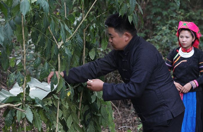 Lễ cúng Thần Rừng - Một lễ hội độc đáo tại Hà Giang của người Pu Péo 3