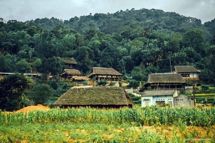 Bình yên của làng quê Hà Giang vào mỗi chiều trên cao nguyên đá