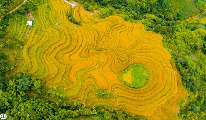 Đánh giá mùa thu ở Hoàng Su Phì với vẻ đẹp như trong cổ tích