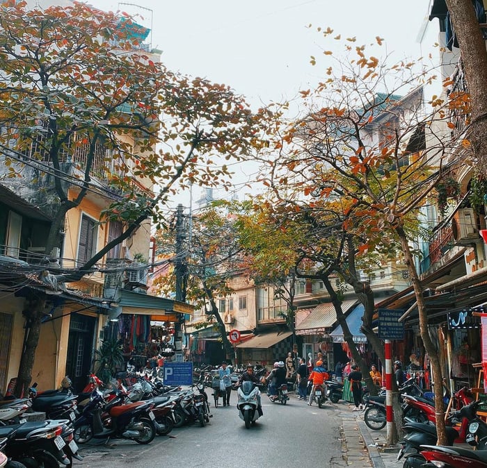 du lịch Hà Nội 