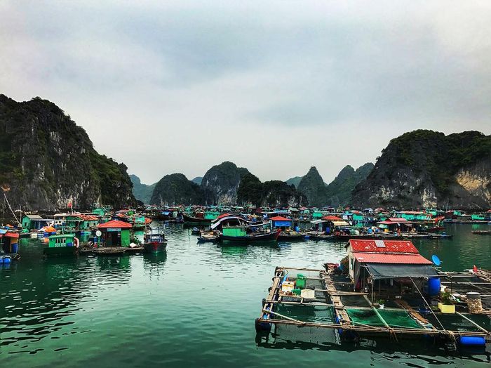 Làng chài Cửa Vạn - Một góc nhỏ yên bình giữa vẻ đẹp hùng vĩ của Vịnh Thiên Đường 7