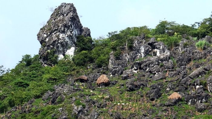 Lịch trình khám phá cao nguyên đá Đồng Văn tự túc trong 3 ngày 2 đêm