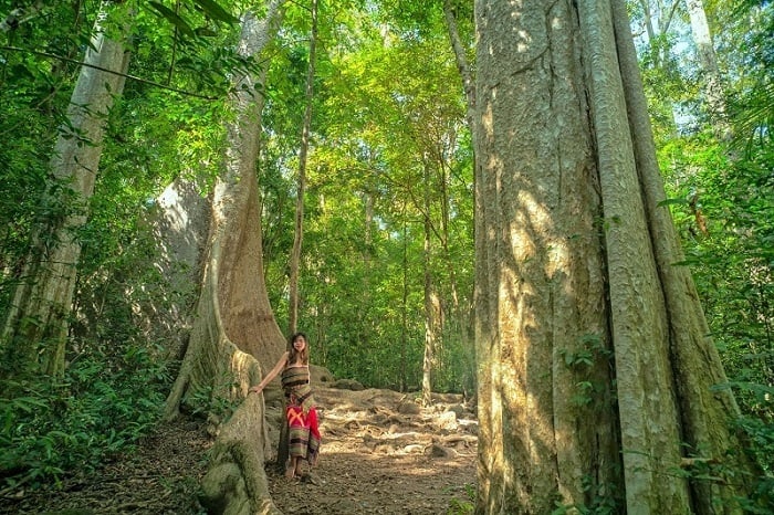 Chuyến phượt Tây Ninh trong 1 ngày