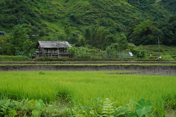 Ngắm nhìn vẻ đẹp yên bình của Bản Du Già trong mùa đẹp nhất 3