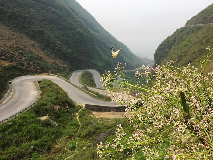 Lắng nghe Hoa Hana đánh giá về Dốc Thẩm Mã qua từng mùa hoa 6