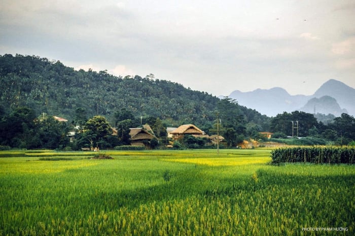 Bình yên của làng quê Hà Giang vào mỗi buổi chiều trên cao nguyên đá