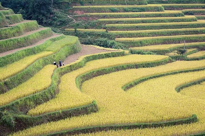 Khám phá và đánh giá xã Bản Luốc - phần 9