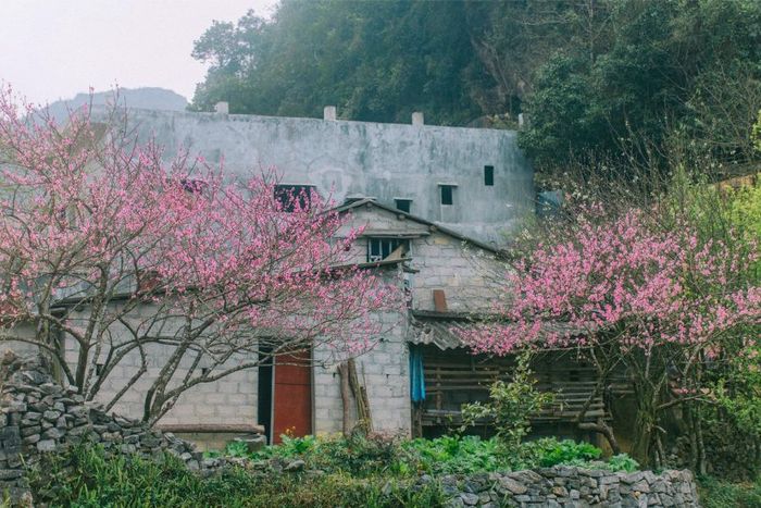 Đánh giá Hà Giang, khám phá bức tranh cuộc sống hàng ngày tại cao nguyên đá yên bình 3