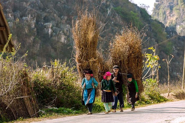 Chia sẻ kinh nghiệm du lịch tự túc Yên Minh - Hà Giang 4