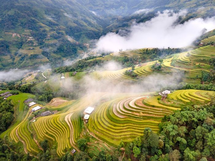 Kinh nghiệm du lịch tự túc tại Hà Giang tháng 9 - Mùa lúa chín rực rỡ trên đồi cao (Phần 6)