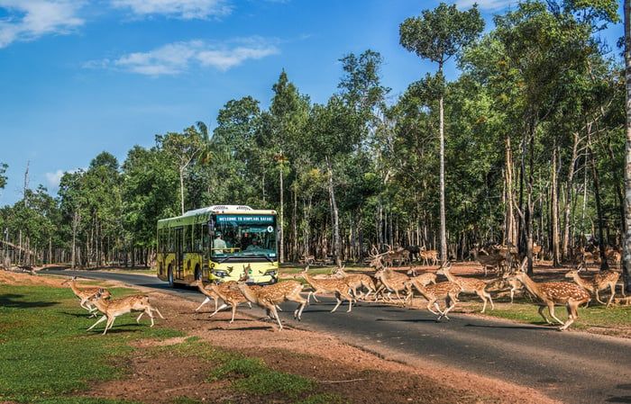 Đừng bỏ lỡ cơ hội trải nghiệm Vinpearl Safari Phú Quốc nếu bạn muốn khám phá vẻ đẹp tự nhiên tuyệt vời của đảo ngọc này.