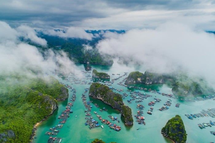Quảng Ninh