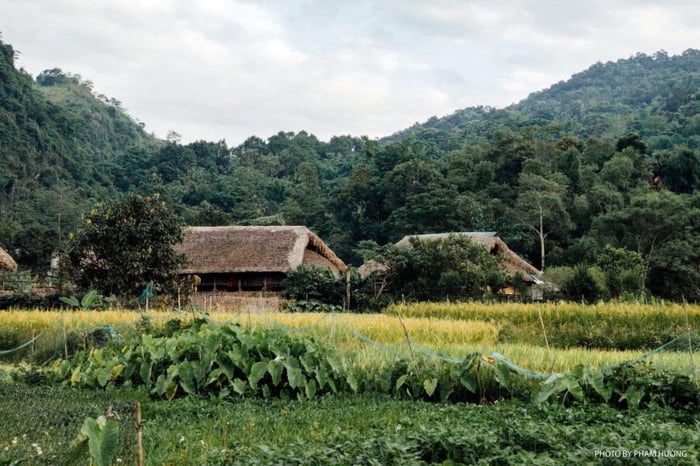 Bình yên của làng quê Hà Giang vào mỗi chiều trên cao nguyên đá