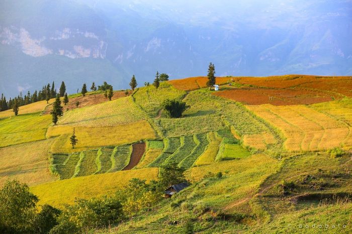 Thám hiểm vẻ đẹp của Thảo nguyên Suôi Thầu, nơi mà Hà Giang tạo ra một thiên đường dưới bầu trời