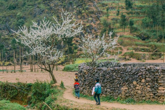 Đánh giá Hà Giang, khám phá cuộc sống hàng ngày tại cao nguyên đá yên bình 6