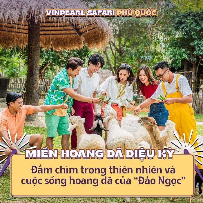 Du lịch Tết Phú Quốc